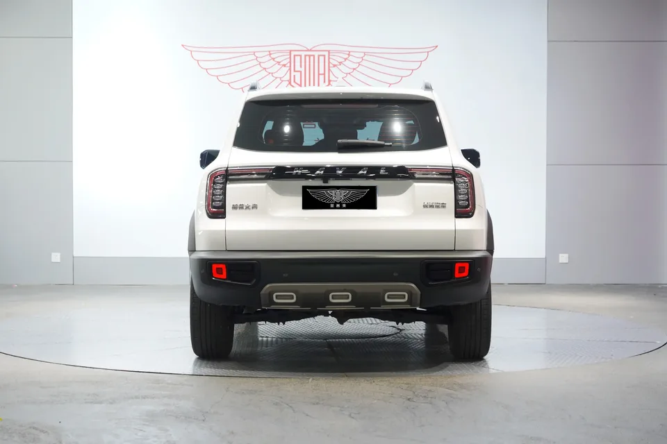 Haval Dargo Harvard dog 2021 1.5T 2WD Border Collie Edition 2022 — thumbnail 2