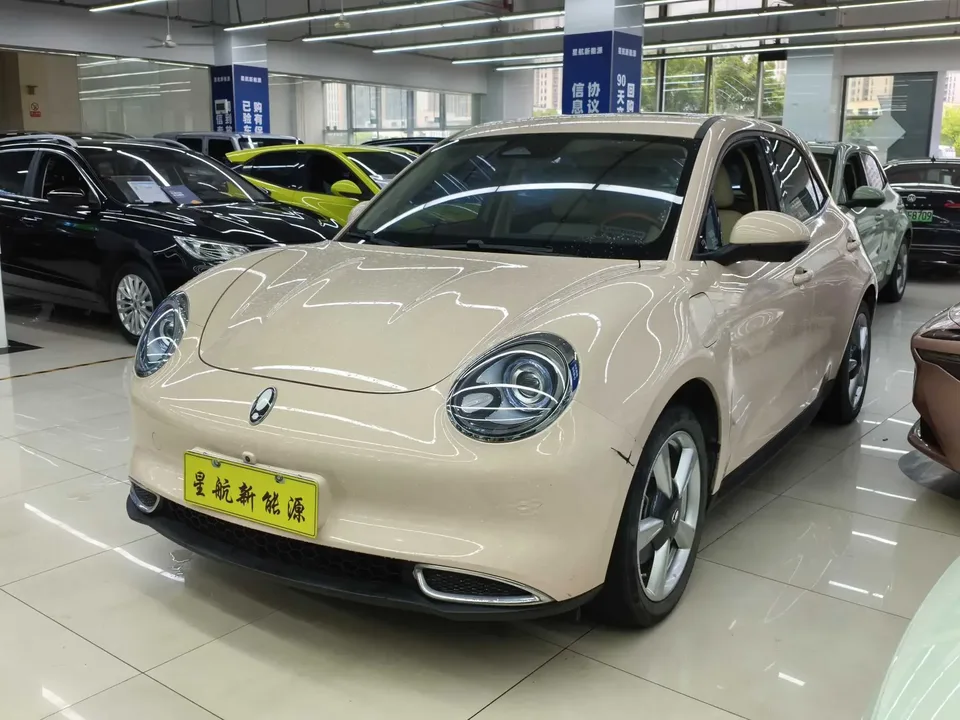 ORA Euler good cat Euler good cat 2021 400km standard range Venus version lithium iron phosphate battery 2022 — photo 1, buy with delivery to Moscow