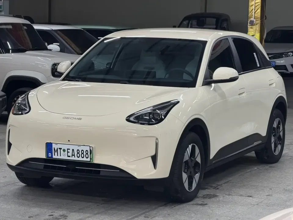 Geely Star Wish Star Wish 2025 310km Dream Edition 2025 — photo 1, buy with delivery to Moscow