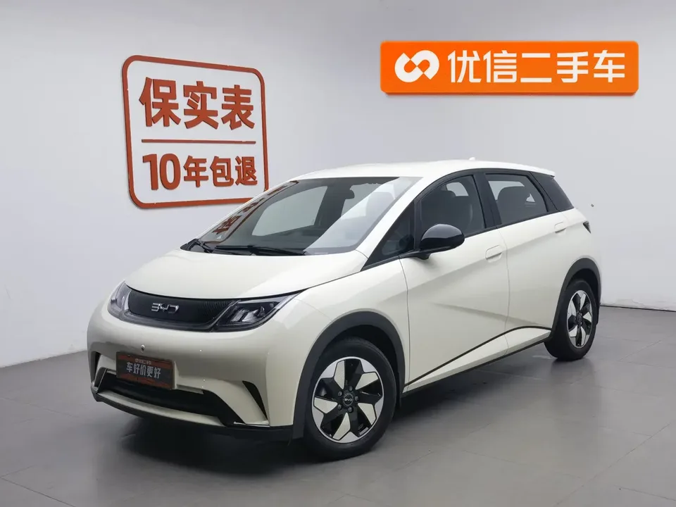 BYD Dolphin dolphin 2025 420KM Free Edition 2026 — photo 1, buy with delivery to Moscow