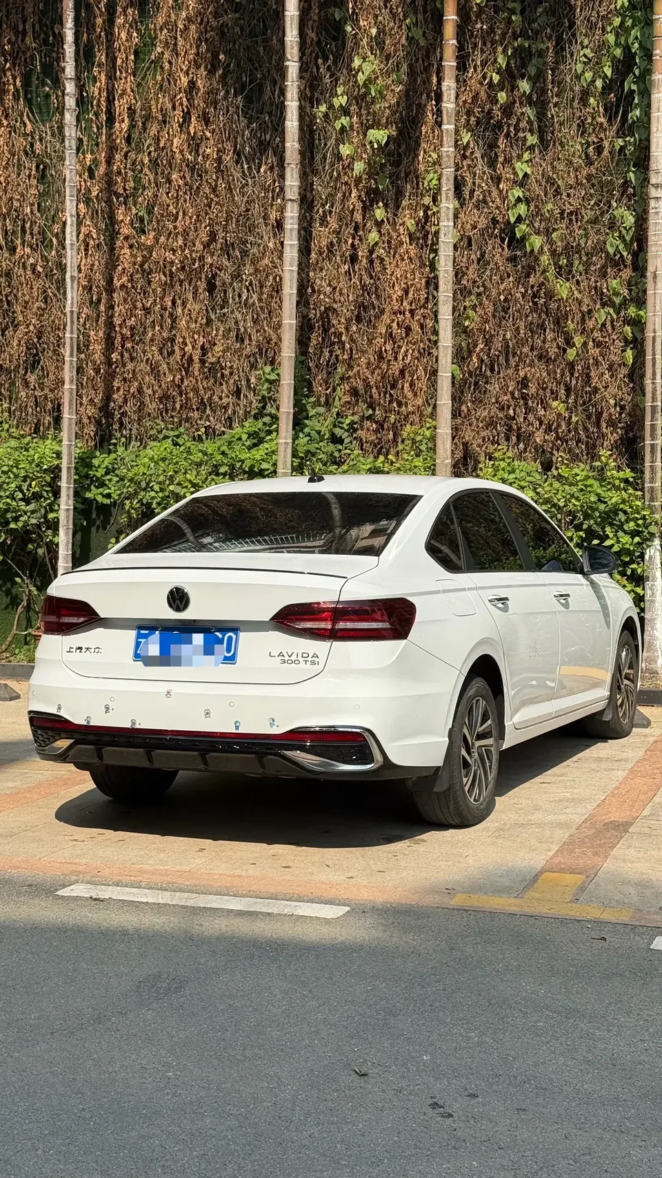 Volkswagen Lavida Lavida 2024 300TSI DSG Starry Sky Edition 2024 — миниатюра 3