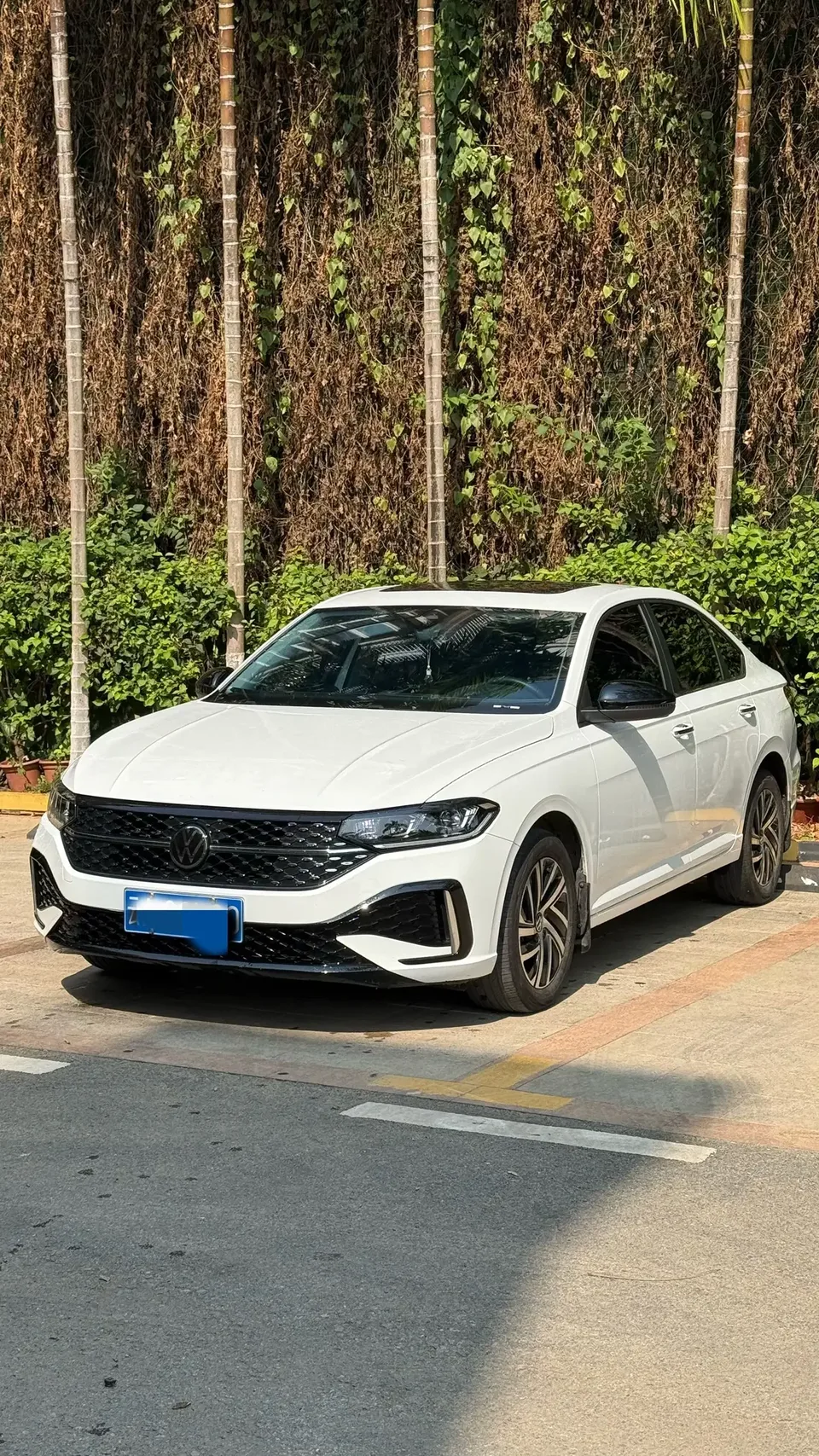 Volkswagen Lavida Lavida 2024 300TSI DSG Starry Sky Edition 2024 — фото 1, купить с доставкой в Москву