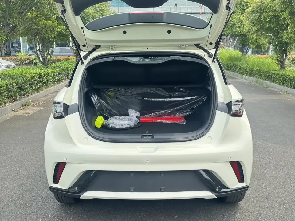 BYD Dolphin dolphin 2025 420KM Free Edition 2026 — thumbnail 5