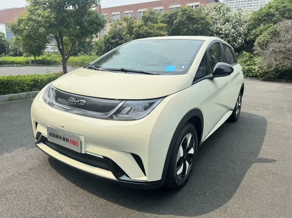 BYD Dolphin dolphin 2025 420KM Free Edition 2026 — photo 1, buy with delivery to Moscow