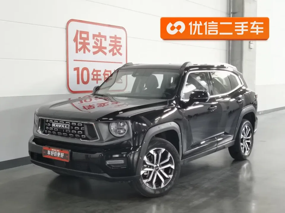 Haval H-Dog Haval Big Dog PLUS 2023 1.5T 2WD Trendy Wild Edition Plus 2024 — photo 1, buy with delivery to Moscow