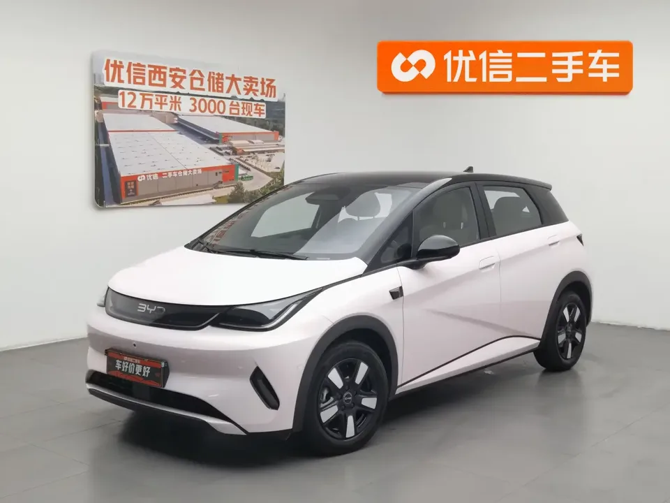 BYD Dolphin dolphin 2025 Smart Driving Edition 410KM Fashion Edition 2025 — photo 1, buy with delivery to Moscow