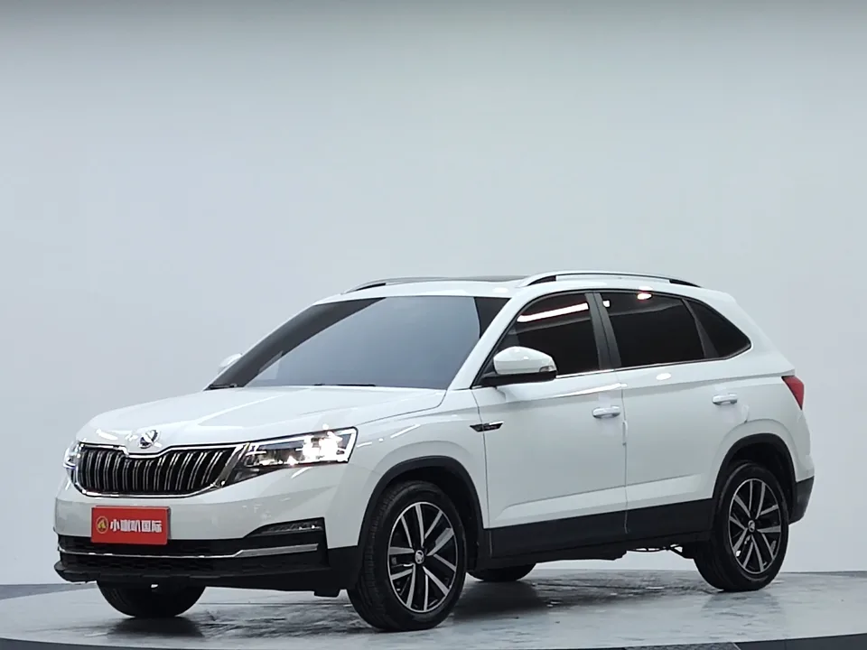 Skoda Comek Comek 2023 1.5L Automatic Comfort Edition 2024 — photo 1, buy with delivery to Moscow