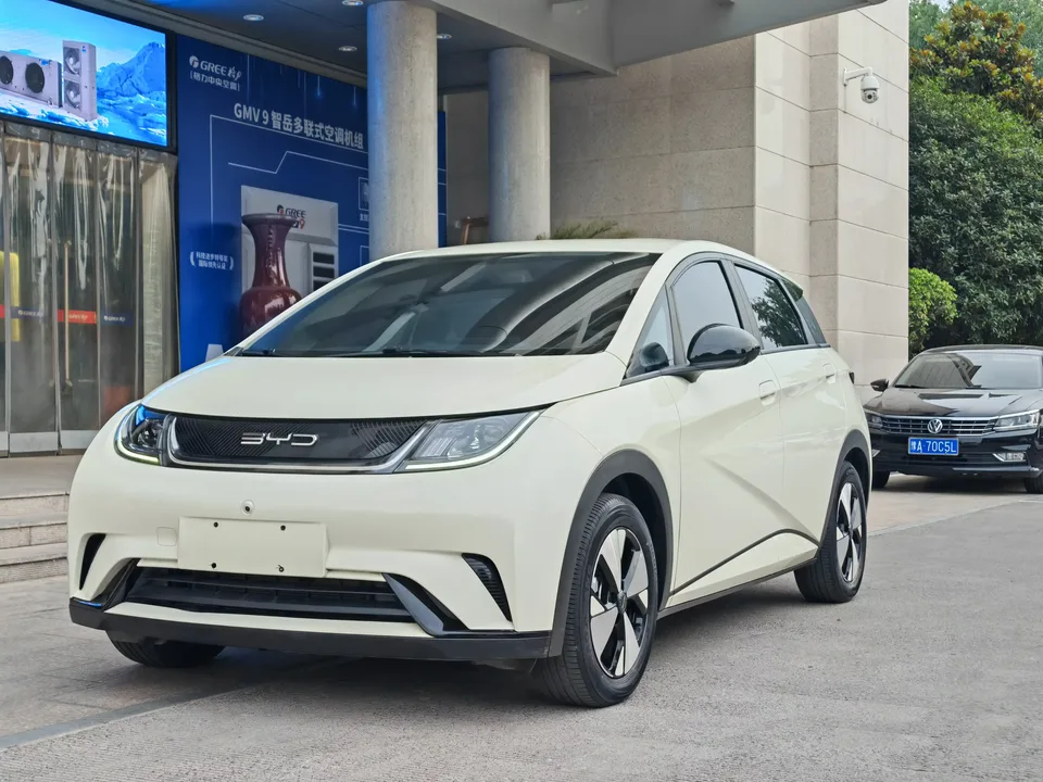 BYD Dolphin dolphin 2023 Free version 2023 — photo 1, buy with delivery to Moscow