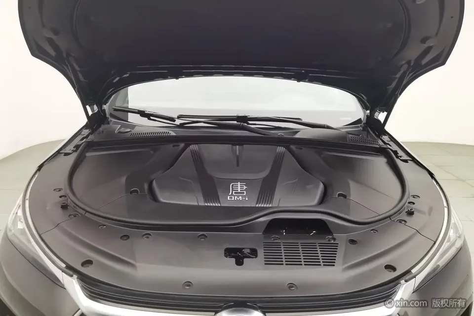 BYD Tang DM Tang DM 2023 DM-i Champion Edition 112KM Premium 2023 — thumbnail 2
