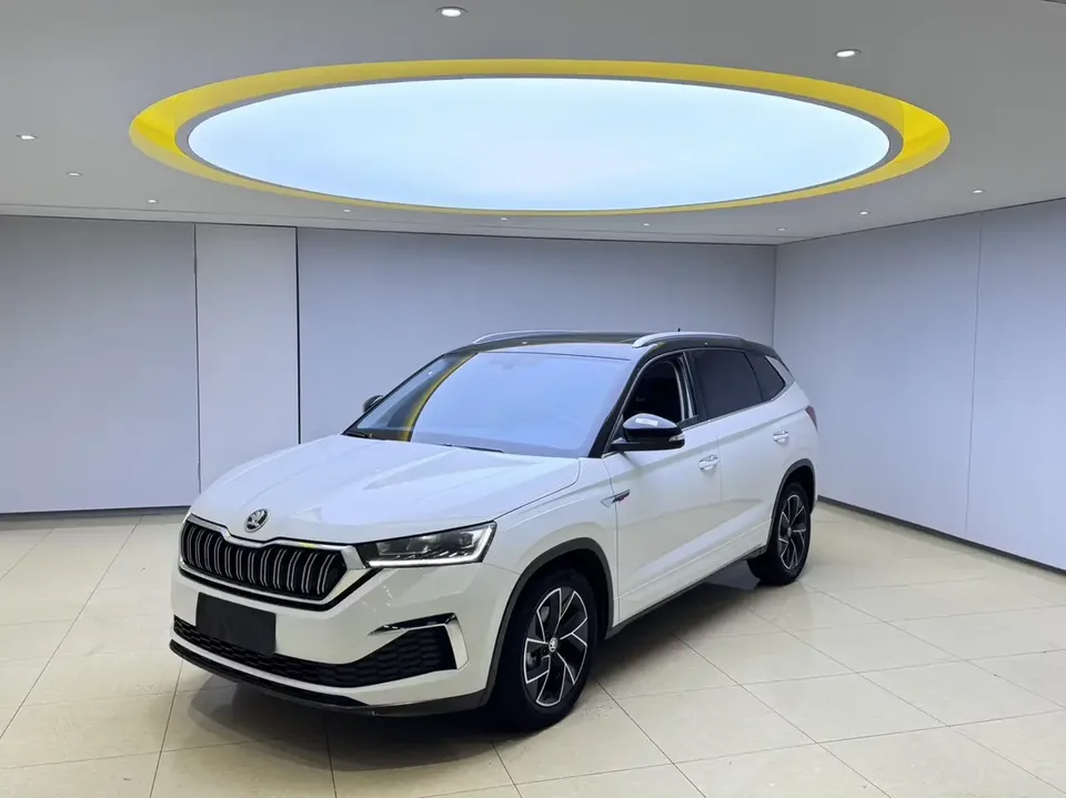 Skoda Kamiq Komic GT 2023 Modified 1.5L Automatic Premium Edition 2023 — photo 1, buy with delivery to Moscow