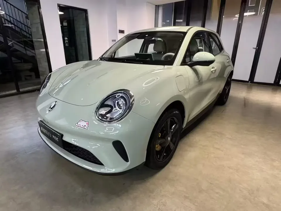 ORA Euler good cat Euler good cat 2025 430km Premium 2025 — photo 1, buy with delivery to Moscow