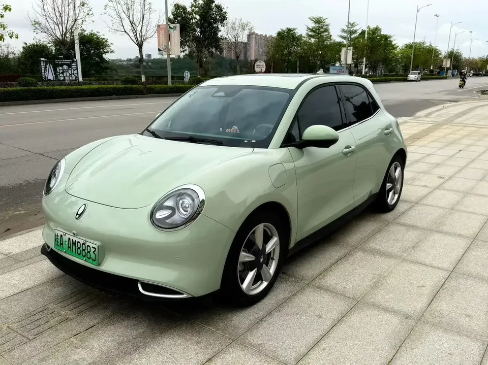 ORA Euler good cat Euler good cat 2023 401km standard endurance premium lithium iron phosphate 2024 — photo 1, buy with delivery to Moscow