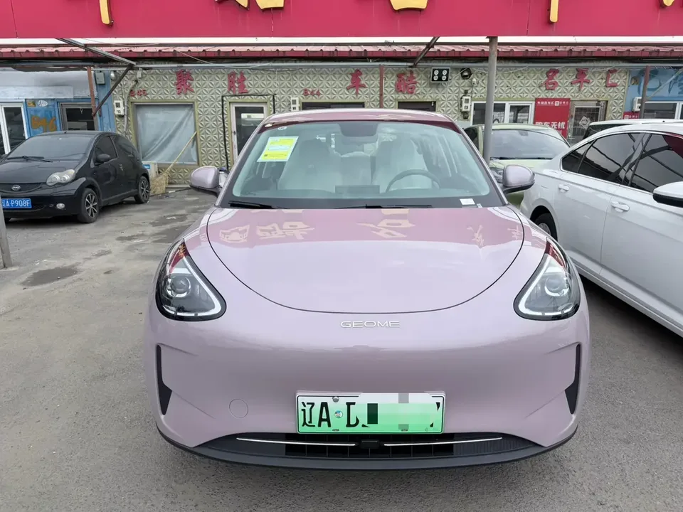 Geely Star Wish Star Wish 2026 310km Youth Edition 2026 — photo 1, buy with delivery to Moscow
