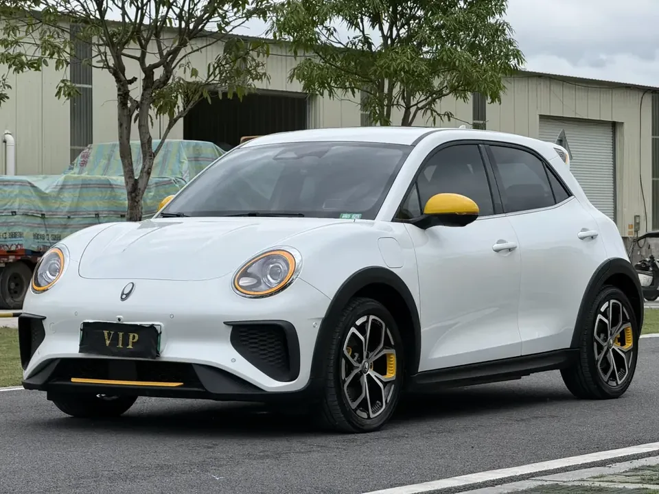ORA Euler Good Cat GT Euler Good Cat GT 2023 Mulan Edition 401km Premium 2023 — photo 1, buy with delivery to Moscow