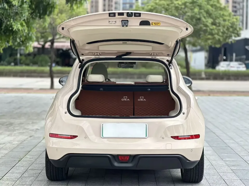 ORA Euler good cat Euler good cat 2022 Morandi version 400km standard endurance premium lithium iron phosphate 2022 — thumbnail 3