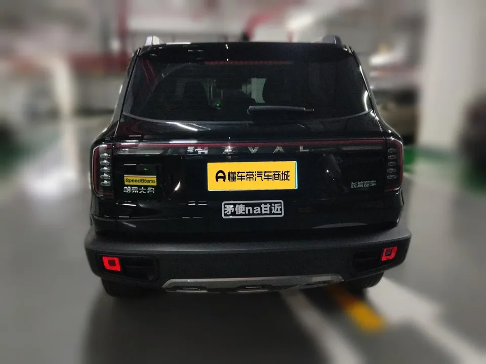 Haval Dargo Harvard dog 2024 1.5T 2WD Border Collie Edition 2025 — thumbnail 2