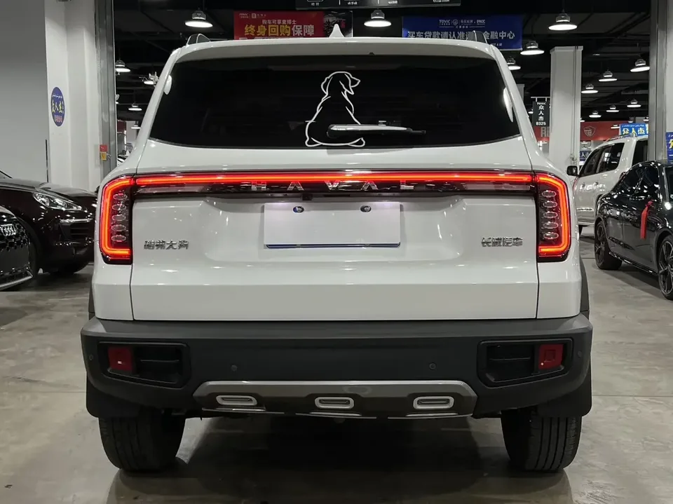 Haval Dargo Harvard dog 2024 1.5T 2WD Border Collie Edition 2025 — thumbnail 2