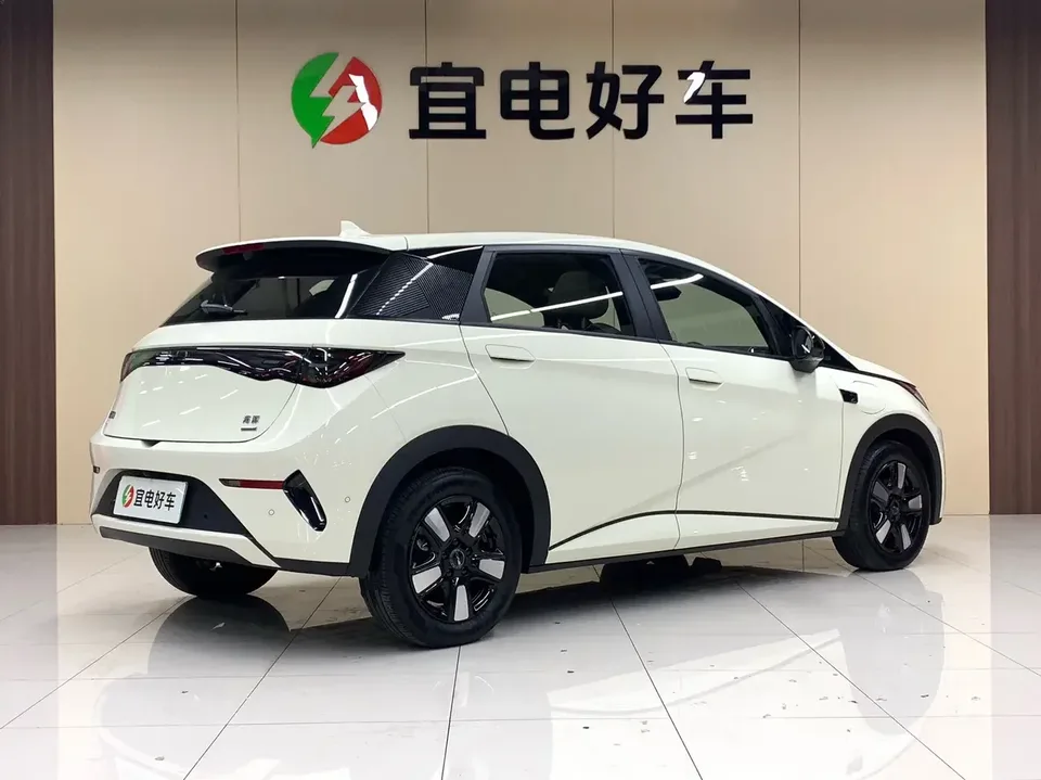 BYD Dolphin dolphin 2025 Smart Driving Edition 410KM Fashion Edition 2025 — thumbnail 2