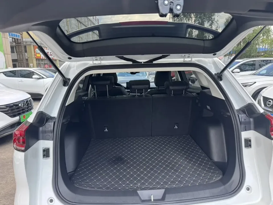 Haval H6 Haval H6 2021 National Trend Edition 1.5T Automatic Champion Edition 2023 — миниатюра 4