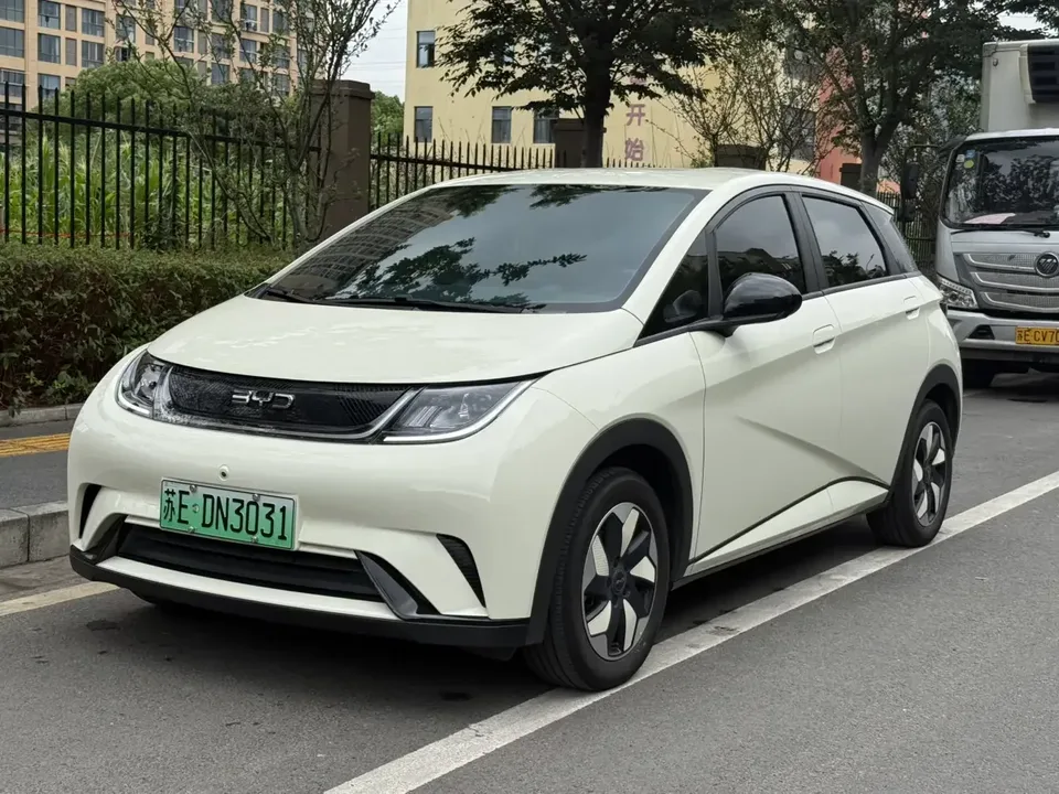 BYD Dolphin dolphin 2025 420KM Free Edition 2025 — фото 1, купить с доставкой в Москву
