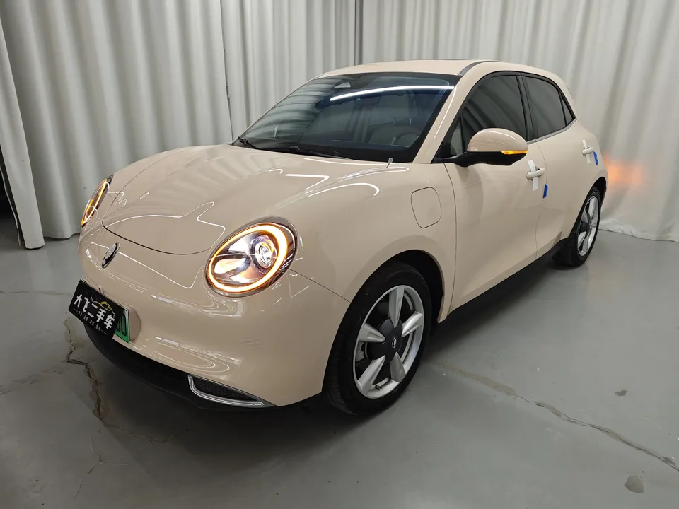 ORA Euler good cat Euler good cat 2023 401km standard endurance premium lithium iron phosphate 2023 — photo 1, buy with delivery to Moscow