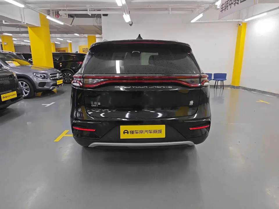 BYD Tang DM Tang DM 2021 DM-i 1.5T 112KM Premium 2022 — миниатюра 2