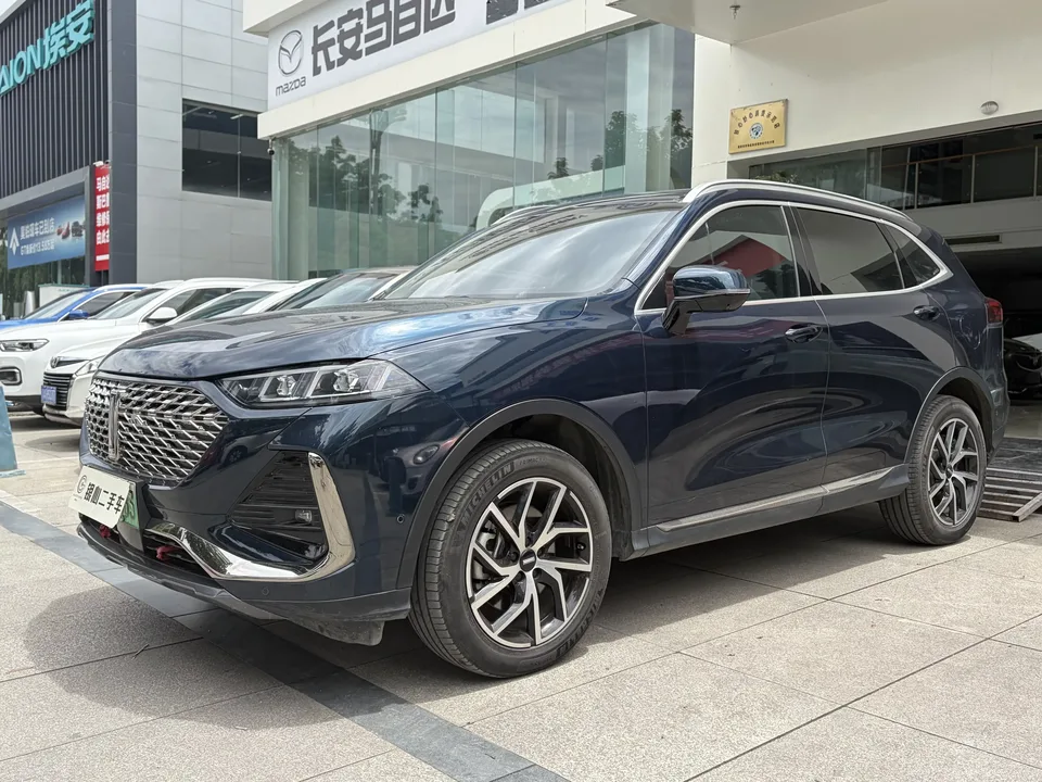 WEY Latte PHEV Latte PHEV 2022 1.5T 2WD Super Cup 2023 — photo 1, buy with delivery to Moscow