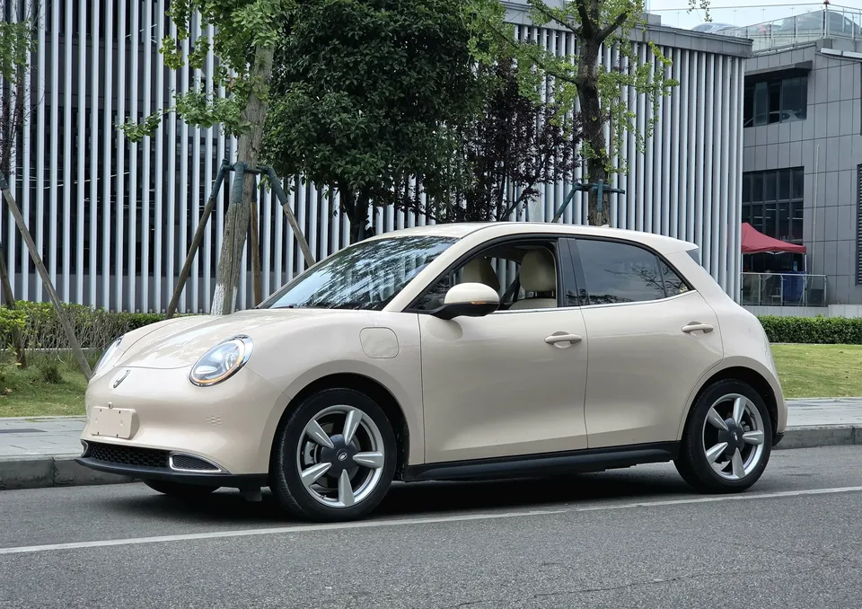 ORA Euler good cat Euler good cat 2022 400km standard endurance premium ternary lithium 2022 — photo 1, buy with delivery to Moscow