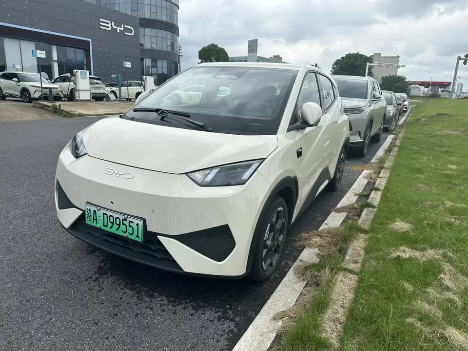BYD Seagull seagull 2025 Smart Driving Edition 305KM Free Edition 2025 — photo 1, buy with delivery to Moscow