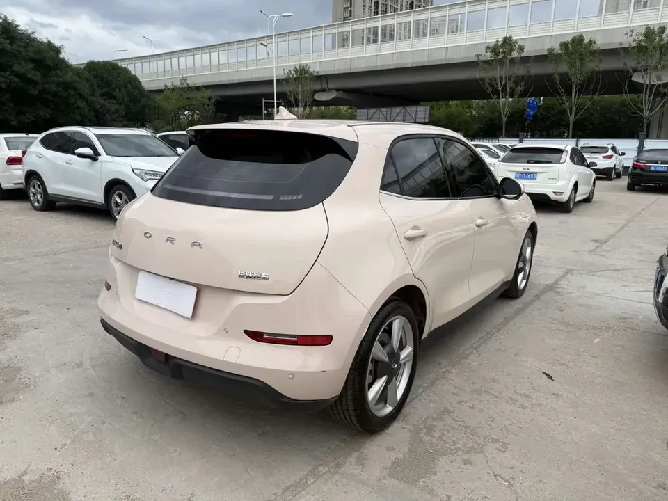 ORA Euler good cat Euler good cat 2023 401km standard endurance premium lithium iron phosphate 2024 — миниатюра 4
