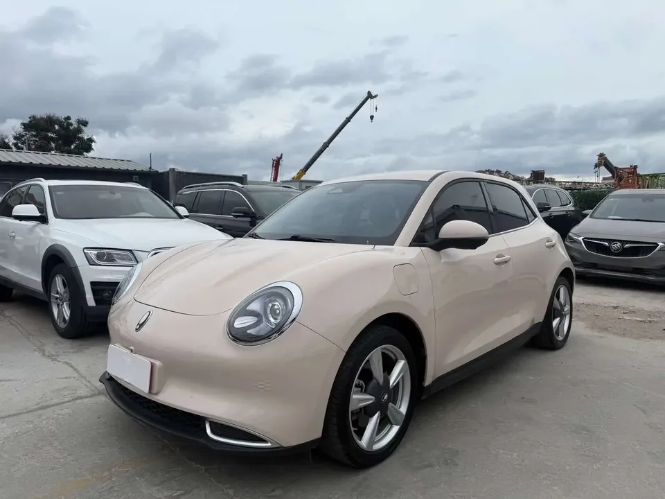 ORA Euler good cat Euler good cat 2023 401km standard endurance premium lithium iron phosphate 2024 — photo 1, buy with delivery to Moscow