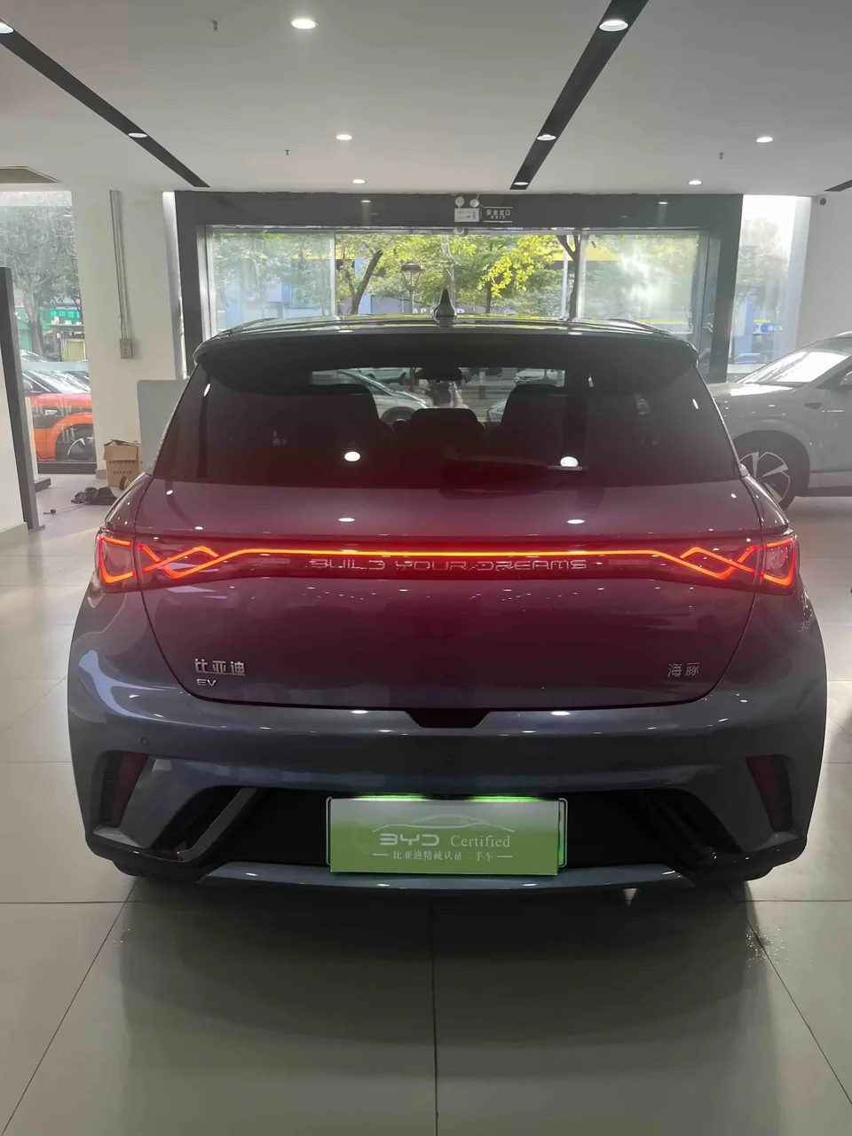 BYD Dolphin dolphin 2025 420KM Fashion Edition 2024 — thumbnail 2