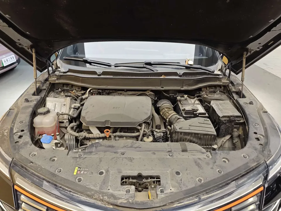 Haval Shenshou Harvard mythical beast 2022 2.0T Smart Edition 2022 — thumbnail 3