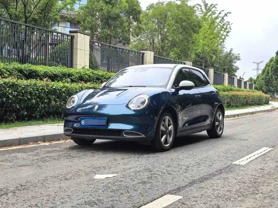 ORA Euler good cat Euler good cat 2022 Morandi version 400km standard endurance luxury ternary lithium 2023 — photo 1, buy with delivery to Moscow