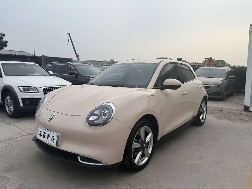 ORA Euler good cat Euler good cat 2023 401km standard endurance premium ternary lithium 2023 — photo 1, buy with delivery to Moscow