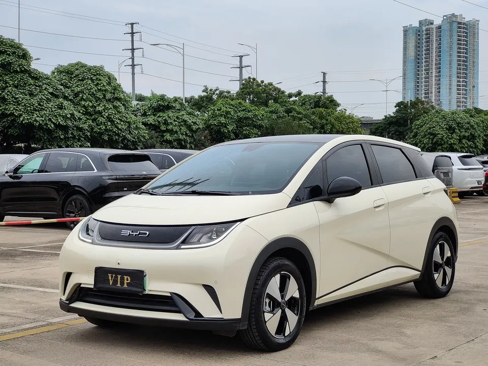 BYD Dolphin dolphin 2023 Fashion version 2023 — photo 1, buy with delivery to Moscow
