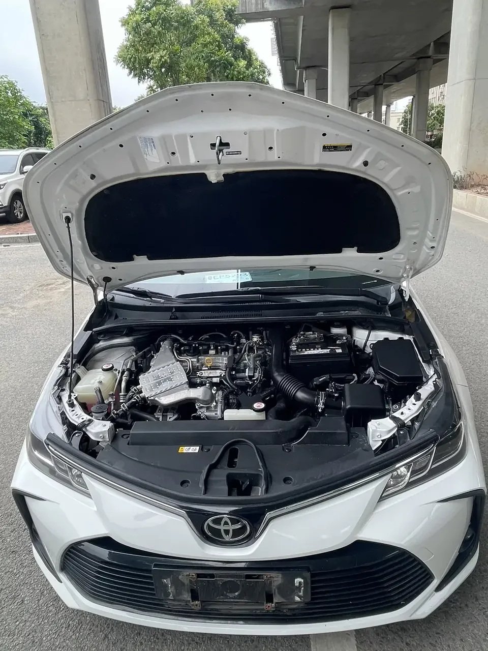 Toyota Corolla Corolla 2022 1.2T S-CVT Pioneer PLUS Edition 2022 — thumbnail 3