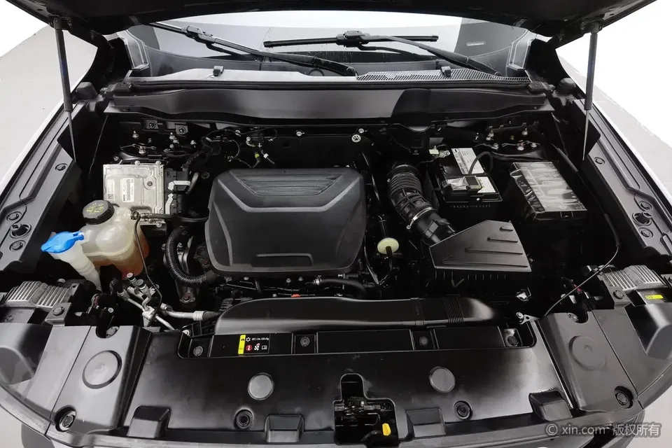 Haval Dargo Harvard dog 2022 1.5T 2WD Border Collie Edition 2023 — миниатюра 2