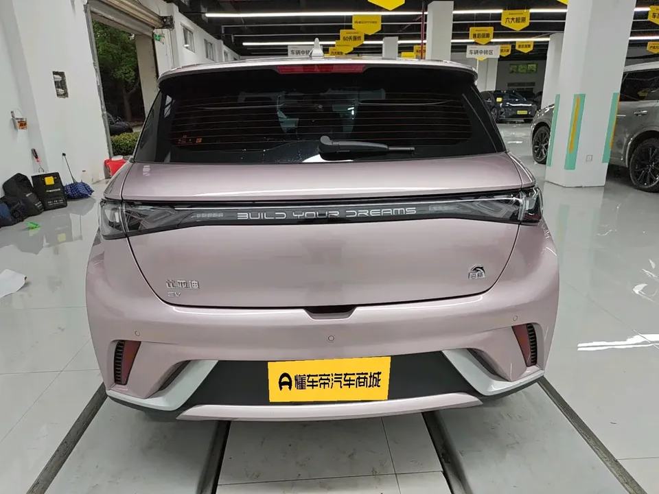 BYD Dolphin dolphin 2023 Fashion version 2024 — thumbnail 2