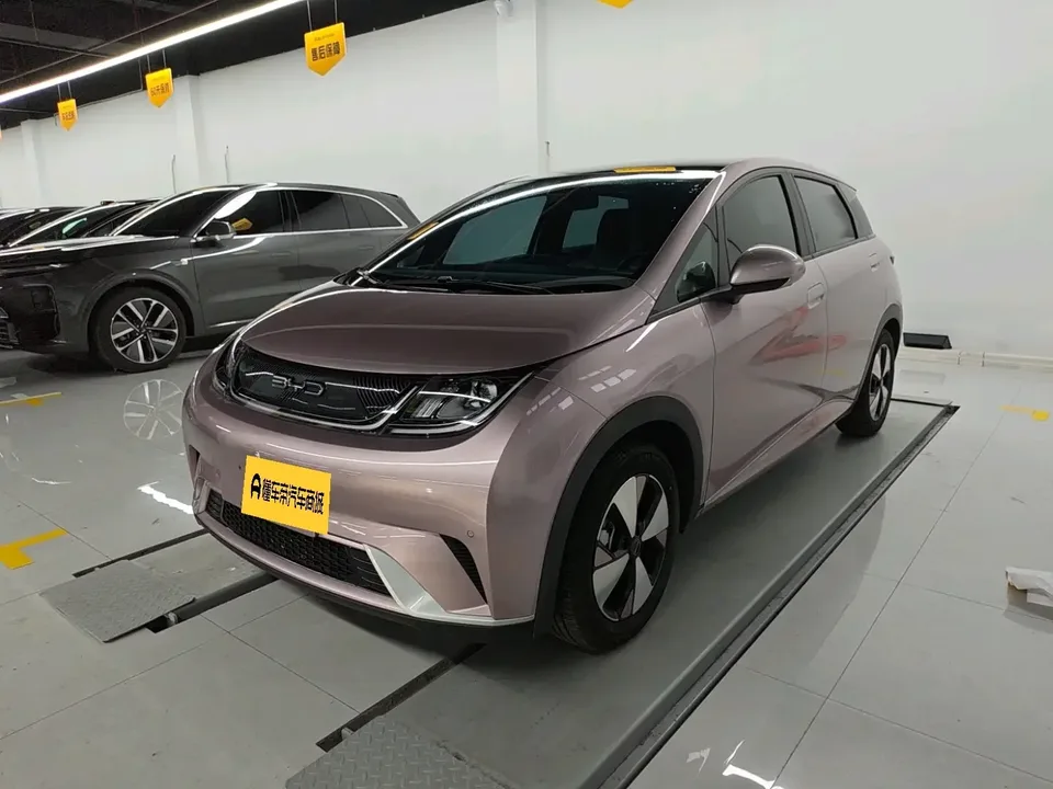 BYD Dolphin dolphin 2023 Fashion version 2024 — photo 1, buy with delivery to Moscow