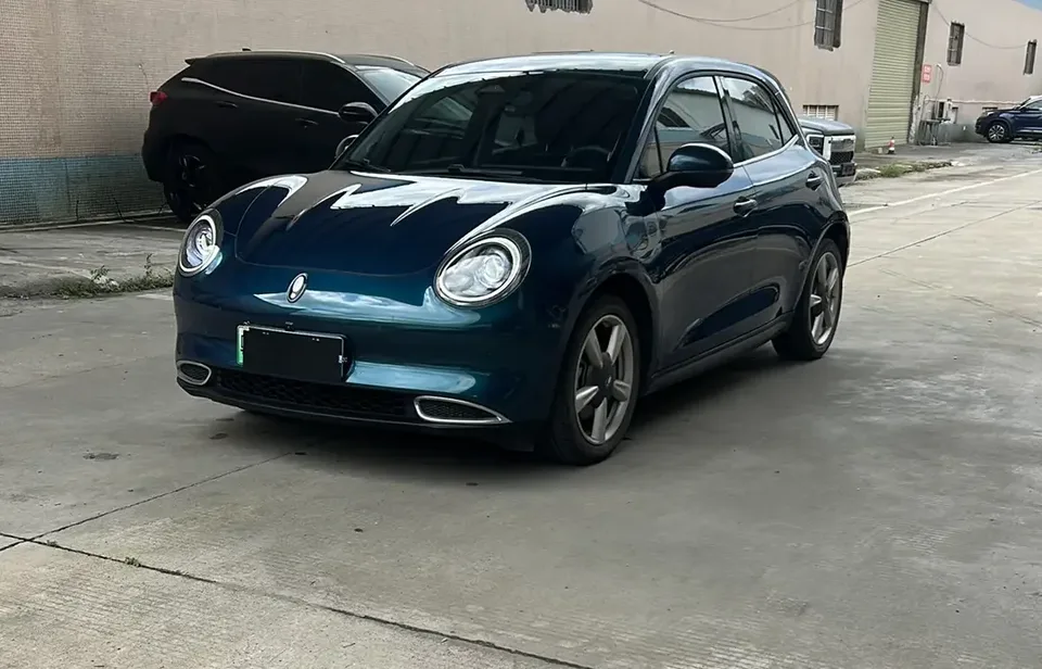 ORA Euler good cat Euler good cat 2021 400km standard range Athena version ternary lithium battery 2022 — photo 1, buy with delivery to Moscow