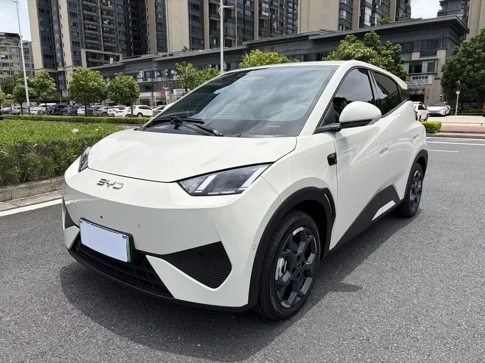 BYD Seagull seagull 2025 Smart Driving Edition 305KM Free Edition 2025 — photo 1, buy with delivery to Moscow