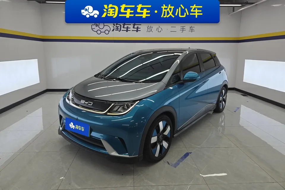 BYD Dolphin dolphin 2021 Knight Edition 2022 — photo 1, buy with delivery to Moscow