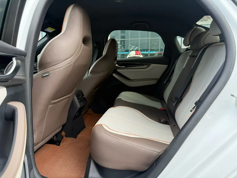 BYD Qin PLUS EV Qin PLUS EV 2023 Champion Edition 420KM Leading Type 2024 — миниатюра 3