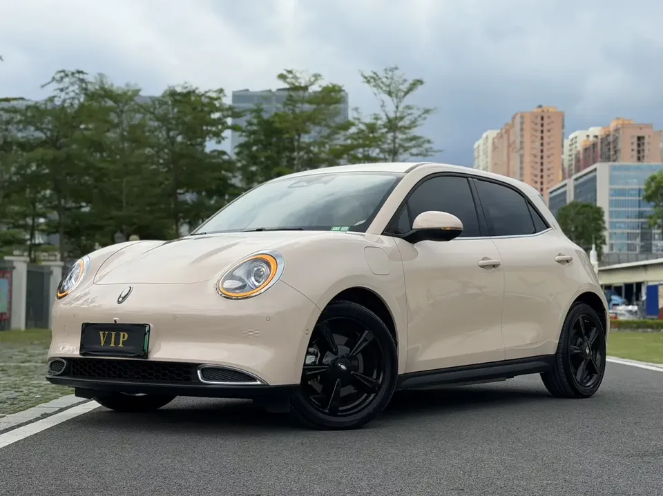 ORA Euler good cat Euler good cat 2024 401km Premium 2024 — photo 1, buy with delivery to Moscow
