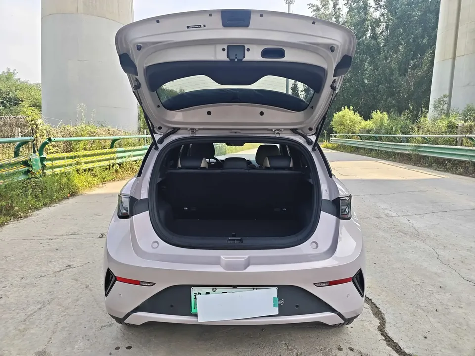BYD Dolphin dolphin 2025 Smart Driving Edition 420KM Free Edition 2025 — thumbnail 4