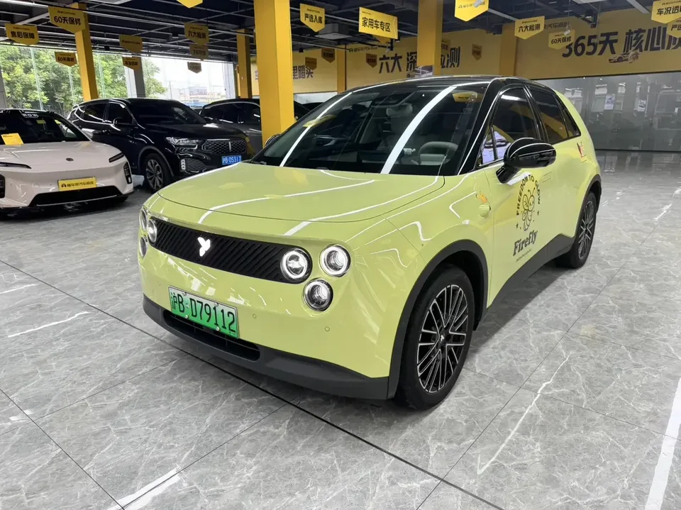 Firefly firefly firefly 2025 Luminous version 2025 — photo 1, buy with delivery to Moscow