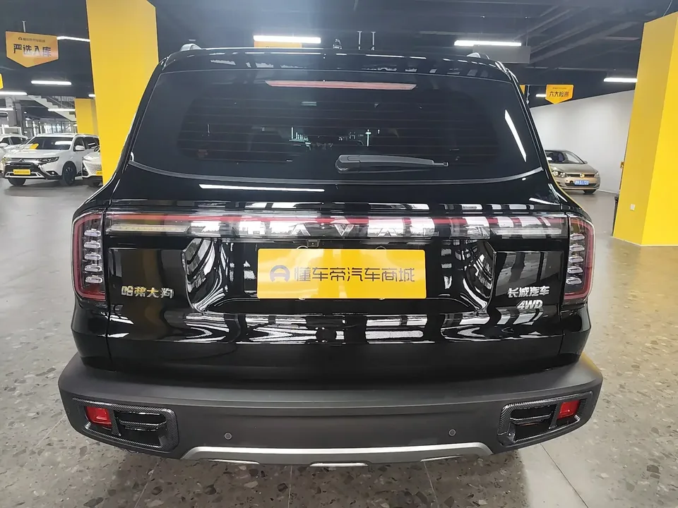 Haval Dargo Harvard dog 2024 1.5T 2WD Border Collie Edition 2025 — thumbnail 2