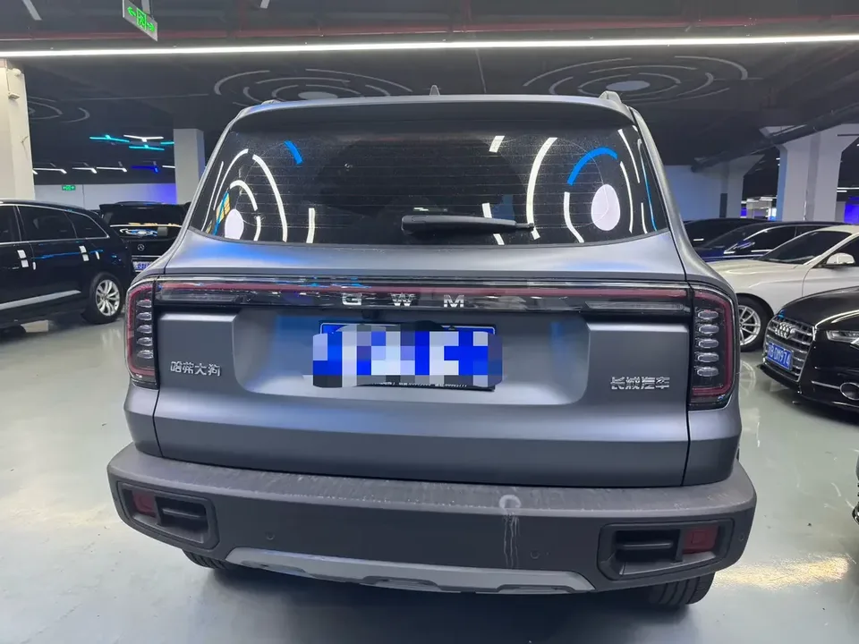 Haval Dargo Harvard dog 2024 1.5T 2WD Border Collie Edition 2025 — thumbnail 2