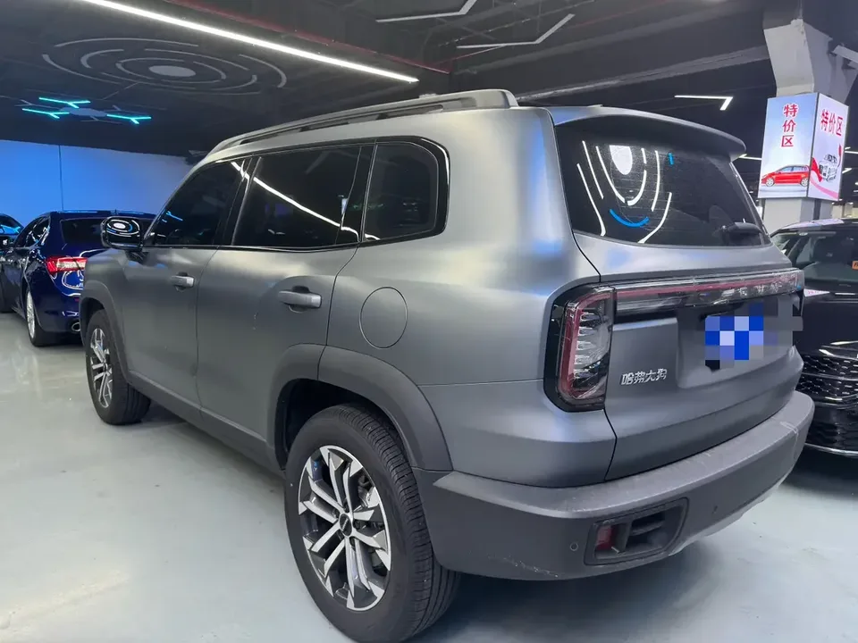 Haval Dargo Harvard dog 2024 1.5T 2WD Border Collie Edition 2025 — thumbnail 4